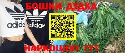 стафф Донской