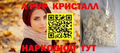 стафф Донской