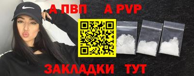 стафф Донской