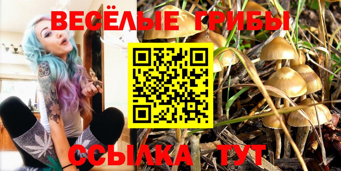 Лыткарино  Галлюциногенные грибы Psilocybe  Вход с VPN  Галлюциногенные грибы GOLDEN TEACHER 